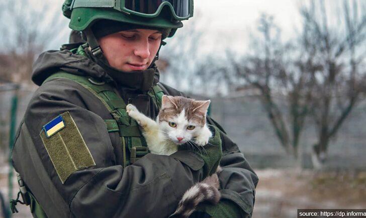 Стаття Save Pets of Ukraine: як можна допомогти чотирилапим під час війни? ФОТО Ранкове місто. Крим