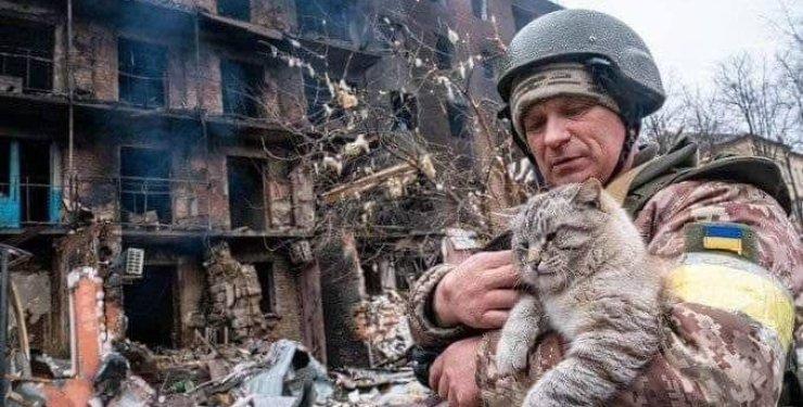 Стаття Взаперти. Как спасти от голодной смерти запертых в квартирах животных Ранкове місто. Крим