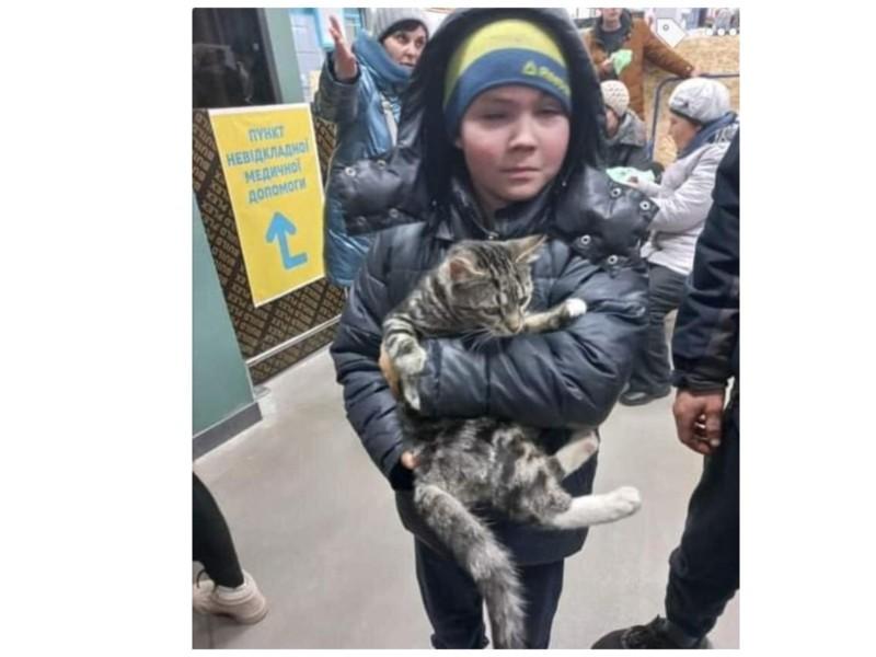Стаття Маленькі герої. Хлопчик з Маріуполя після 15 діб в окупації, евакуювався з котом Ранкове місто. Крим