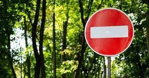 Стаття На Донетчине и Луганщине действует запрет посещения лесов Ранкове місто. Крим
