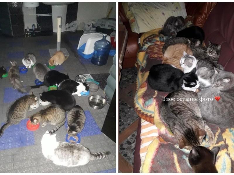 Стаття Рашисти вбили чоловіка, який доглядав 13 котів, донька благає врятувати тварин Ранкове місто. Крим