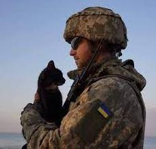 Стаття Українські бійці рятують життя домашнім тваринам: зворушливі фото Ранкове місто. Крим