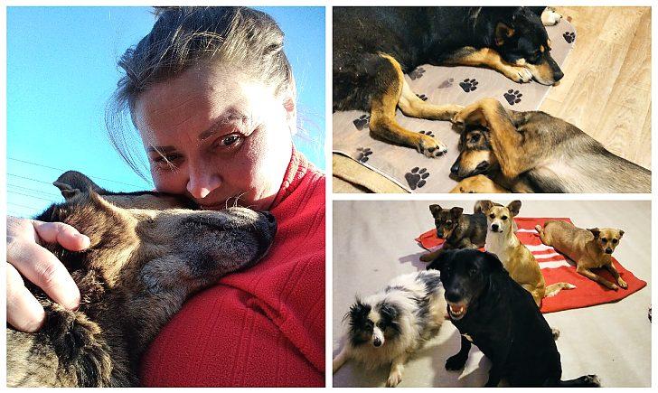 Стаття «Сотні котів та собак тепер на вулиці»: волонтерка з Донеччини рятує тварин, яких покинули, тікаючи від війни Ранкове місто. Крим