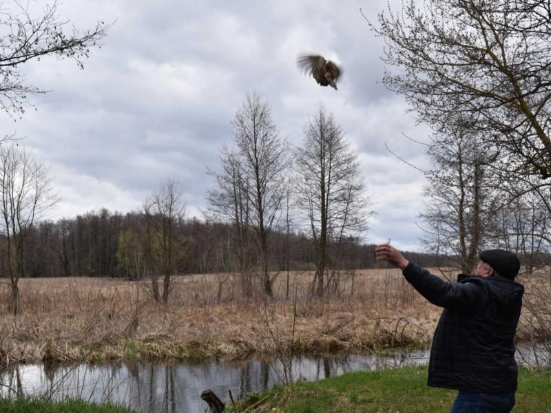 Стаття На Київщині випустили у природу сотню фазанів Ранкове місто. Крим