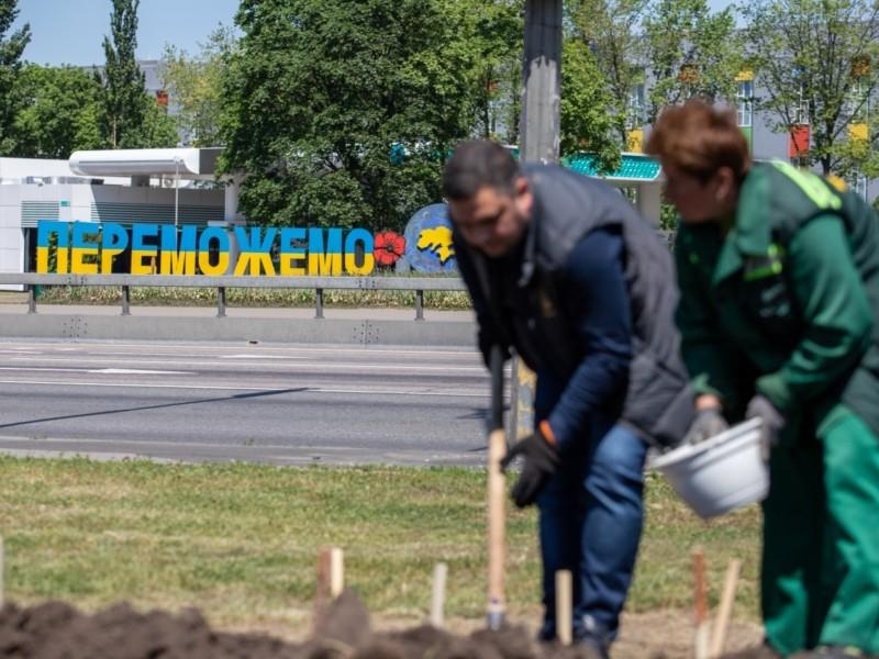 Стаття Тисячі лілій з Харкова висадили на однойменній площі у столиці Ранкове місто. Крим