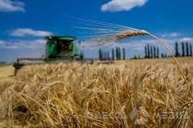Стаття Фермеры Одесской области первыми в Украине начали собирать урожай Ранкове місто. Крим