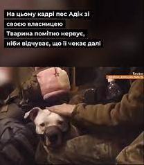 Статья Оккупанты украли собаку у военных с Азовстали и подарили ее Кадырову, - СМИ Утренний город. Крым