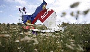 Статья За збиття літака рейсу МН17 відповідальна Росія, - резолюція ПАРЄ Утренний город. Крым