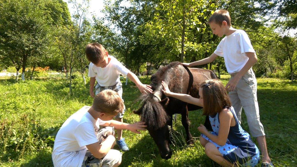 Стаття Семья из Донетчины эвакуировала шесть детей с инвалидностью и лошадей в Прикарпатье Утренний город. Крим