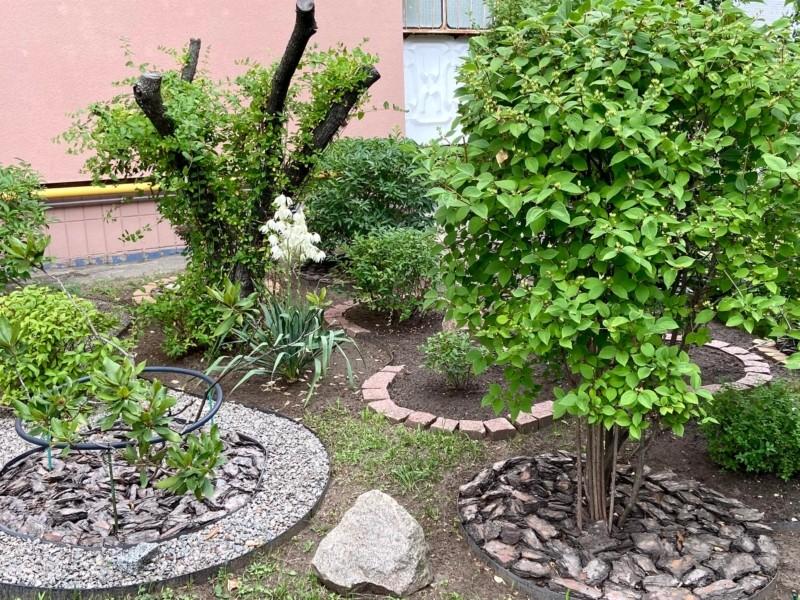 Статья Киянка перетворила територію біля свого будинку на розкішний міні-сад – фото Утренний город. Крым