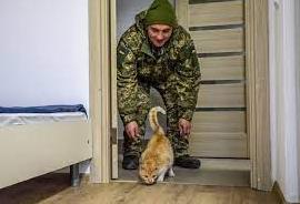 Статья Ветеранам АТО/ООС спростили умови придбання житла Утренний город. Крым
