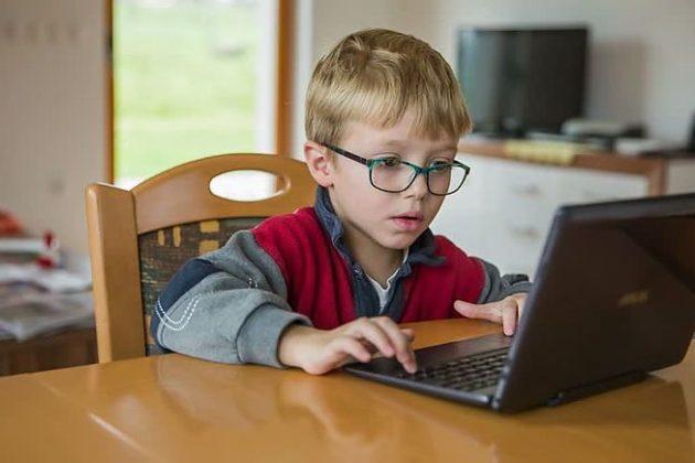 Стаття Без позіхань та втрати зору: визначено тривалість онлайн-уроків для школярів? Утренний город. Крим