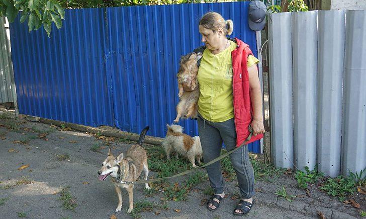Стаття Врятувала понад 40 тварин: переселенка з Донеччини забрала в безпечне місце домашніх улюбленців Утренний город. Крим