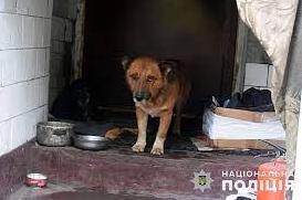 Стаття У звільненому Святогірську поліцейські та зооволонтери доставили корм для безпритульних тварин. Фото Ранкове місто. Крим