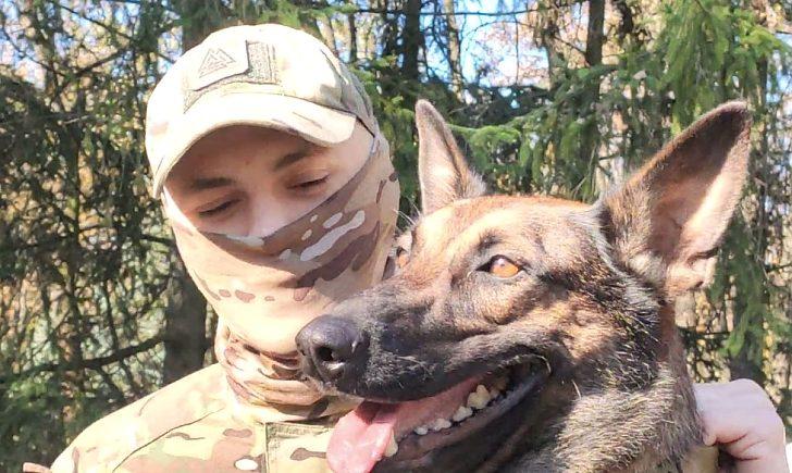 Стаття Подолав під обстрілами 15 км і знайшов свій дім: собака Джекі самотужки вибрався із «Азовсталі» Ранкове місто. Крим