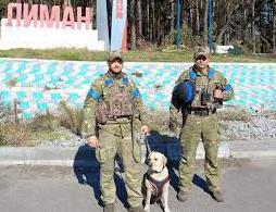 Стаття Чотирилапі герої: службові собаки допомагають повернути безпеку в деокуповані міста на Донеччині Ранкове місто. Крим