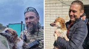 Стаття «Уламки розтрощили Бургеру щелепи». Військові у Бахмуті врятували собаку, який потрапив під ракетний обстріл Утренний город. Крим