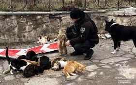 Стаття Патрульні Донеччини годують безпритульних тварин на звільнених територіях Утренний город. Крим