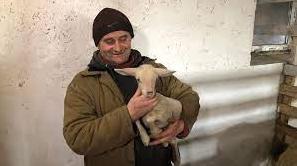 Стаття Ферма на Прикарпатті стала прихистком для понад пів сотні тварин із Бахмута Утренний город. Крим