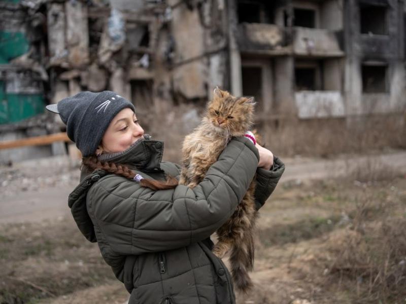 Стаття 10-річна Вероніка кожного дня приходить до свого зруйнованого дому в Бородянці, щоб нагодувати котів Ранкове місто. Крим