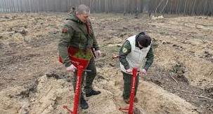 Стаття На деокупованій Лиманщині на місці знищеного лісу висадили понад 9 тис. сосен Утренний город. Крим