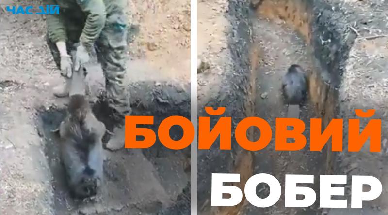 Стаття Як бійці ЗСУ намагаються виселити “бойового” бобра з окопу Ранкове місто. Крим