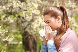 Стаття Для алергіків створено карту відстеження цвітіння: як полегшити симптоми алергії Ранкове місто. Крим