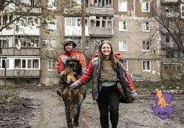 Стаття Волонтери врятували понад пів сотні тварин з Часового Яру Ранкове місто. Крим