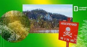 Стаття Врятувати «донецьку Швейцарію»: що відбувається з природним нацпарком «Святі гори» у часи війни Ранкове місто. Крим