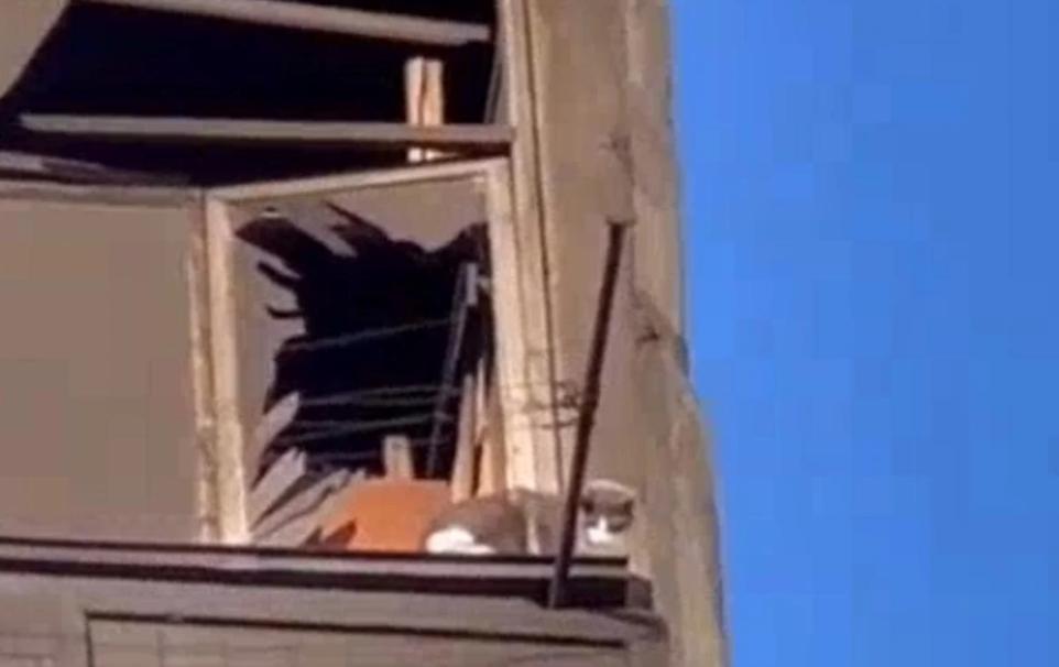 Стаття В Умані зі зруйнованого ракетним ударом будинку врятували котика: відео торкнулося мережі Ранкове місто. Крим