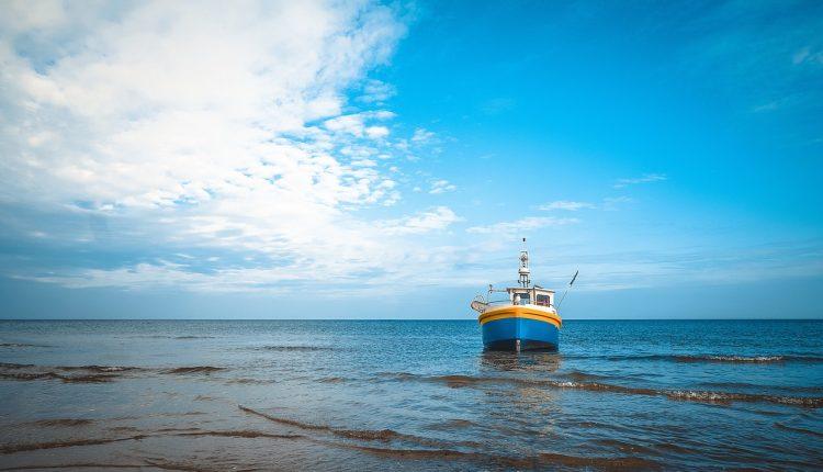 Стаття Тепер українські підприємці зможуть орендувати акваторії для вирощування морепродуктів Ранкове місто. Крим