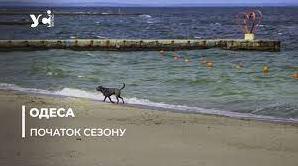 Стаття В Одесі облаштовують муніципальні пляжі: правила користування (фото) Ранкове місто. Крим