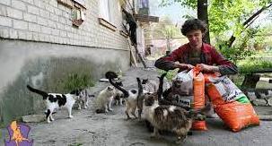 Стаття Зоозахисники розповіли про проблеми розміщення та прилаштування тварин на прифронтових територіях Ранкове місто. Крим