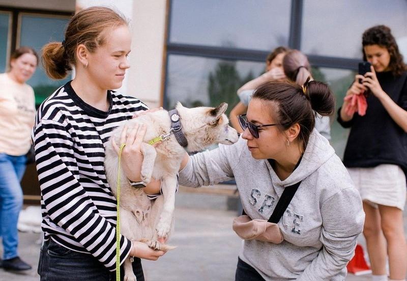 Стаття Центр адопції Patron Pets Center на ВДНГ надає допомогу та прихисток тваринам з Херсонщини Ранкове місто. Крим