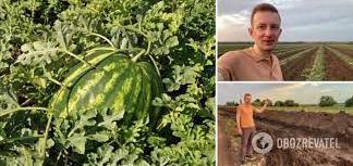 Стаття На Херсонщині фермер дві доби боровся з повінню і врятував урожай. Відео Ранкове місто. Крим