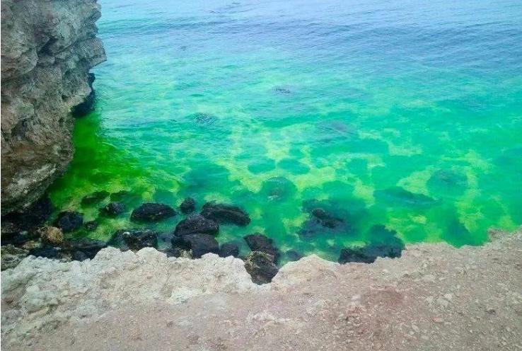 Стаття В окупованому Севастополі вода стала кислотно-зеленого кольору Ранкове місто. Крим