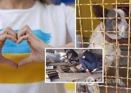 Стаття Робили масаж серця: волонтерам вдалося повернути до життя собаку з Херсонської області. Відео Ранкове місто. Крим