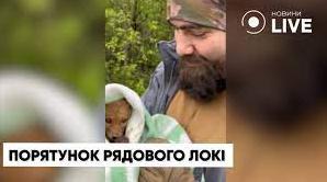 Стаття Захисники врятували життя лисеня на Донеччині (ВІДЕО) Ранкове місто. Крим