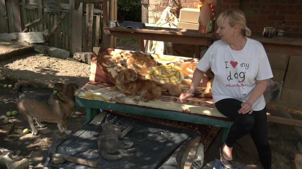 Стаття Жителька Краматорська врятувала понад 70 тварин і мріє створити притулок Ранкове місто. Крим