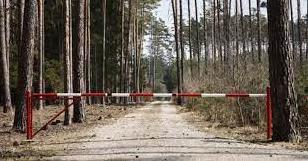 Стаття На території Донеччини діє заборона відвідування лісових масивів, - ДСНС Ранкове місто. Крим