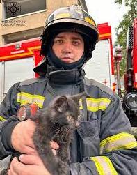 Стаття Під час гасінні пожежі в Одесі вдалось врятувати одну людину та 14 тварин (фото, відео) Ранкове місто. Крим