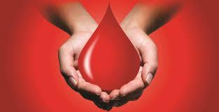 Стаття По всій Україні стабільною лишається потреба у донорах усіх груп крові! Ранкове місто. Крим