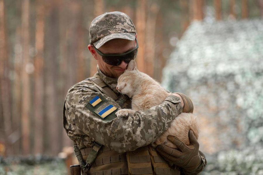 Стаття Наймиліший захисник: котик на псевдо «Сметана» служить на північних кордонах (фото) Ранкове місто. Крим