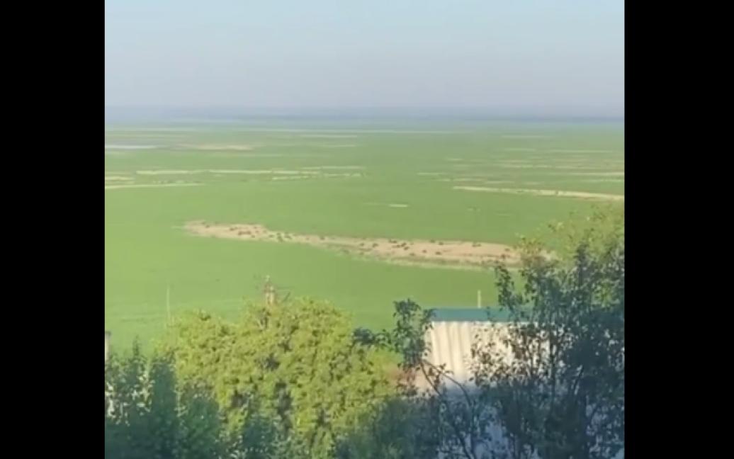 Стаття Там, де раніше були глибокі води, тепер рясніє густа зелена трава Ранкове місто. Крим