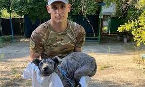 Стаття Поліціянти врятували хворого, знесиленого собаку в Кураховому Ранкове місто. Крим