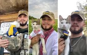Стаття Український бойовий кіт отримав волонтерську відзнаку за допомогу військовим: зворушливі фото Ранкове місто. Крим