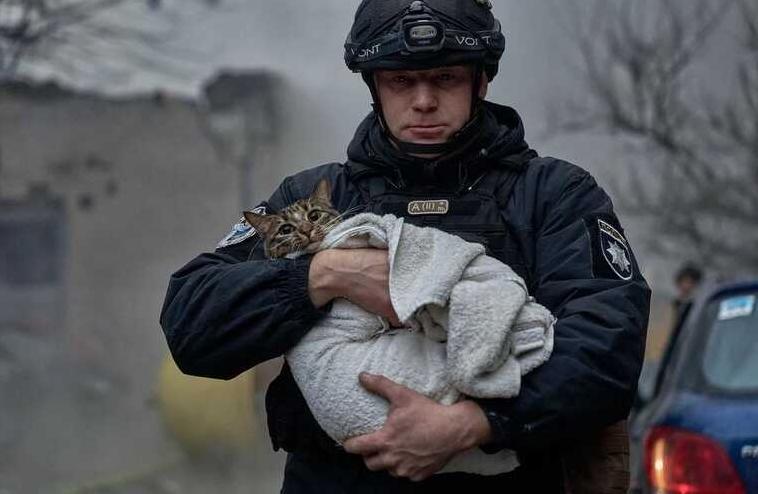 Стаття Поліцейський із врятованим у Києві котом розчулив соцмережі:«Схопив, обійняв та спустився до низу» Ранкове місто. Крим