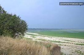 Стаття «Дно Каховського водосховища перетворюється на ліс»: зміни водойми після підриву Каховської ГЕС Ранкове місто. Крим