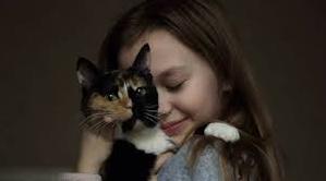 Стаття В Одесі маленька дівчинка викликала поліцію, щоб врятувати свою кішку-втікачку – історія порятунку Ранкове місто. Крим