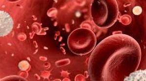 Стаття Збір на тести для встановлення групи крові, які допомагають рятувати життя воїнів на передовій! Ранкове місто. Крим